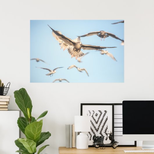 Seagulls Poster (Heimbüro)