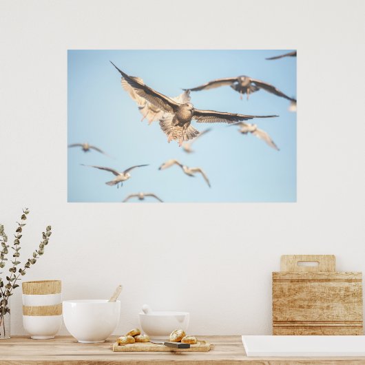 Seagulls Poster (Küche)
