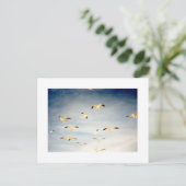 Seagulls Postkarte (Stehend Vorderseite)