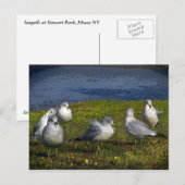 Seagulls Postkarte (Vorne/Hinten)