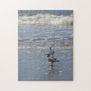 Seagulls Puzzle