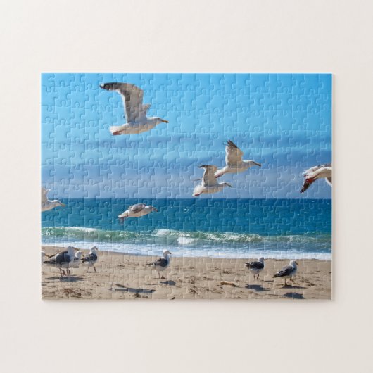 Seagulls Puzzle (Horizontal)