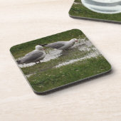 Seagulls Schlag Getränkeuntersetzer (Linke Seite)