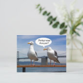 Seagulls sprechen Französisch Postkarte (Stehend Vorderseite)