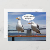 Seagulls sprechen Französisch Postkarte (Vorne/Hinten)