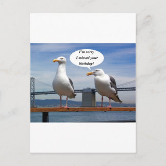 Seagulls sprechen postkarte