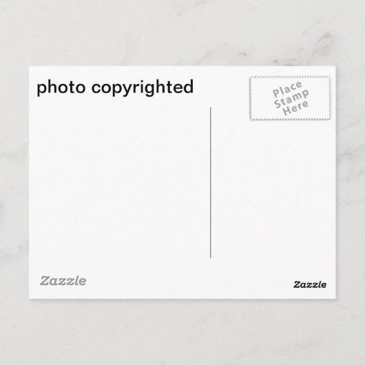 Seagulls sprechen postkarte (Rückseite)