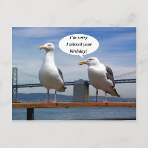 Seagulls Talking Postkarte