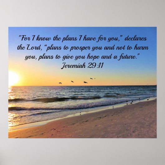 SEAGULLS UND SUNRISE JEREMIAH 29:11 BIBLE VERSE POSTER (Vorne)
