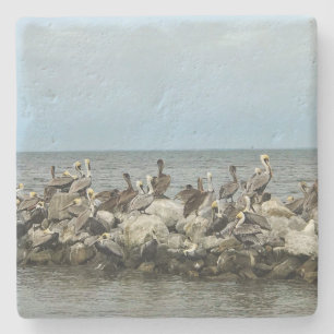 Seagulls-Untersetzer Steinuntersetzer