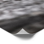 Seagulls Wildlife Foto Poster (Ecke)