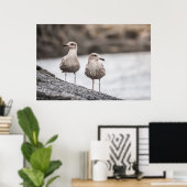 Seagulls Wildlife Foto Poster (Heimbüro)