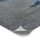 Seaguls auf dem Poster "Wildlife Drive" (Ecke)