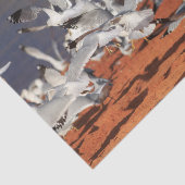 Seaguls Beach Seidenpapier (Ausschnitt)