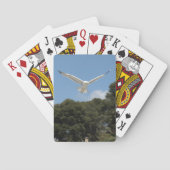 Seaguls Playing Cards Spielkarten (Rückseite)