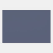 Seaguls und Starfish Gold Stars nautisch Geschenkpapier Set (Vorderseite 3)