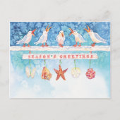 Seagulus Feiertagspostkarte (Vorderseite)