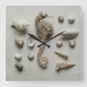 Seahorse And Shells Quadratische Wanduhr (Vorderseite)