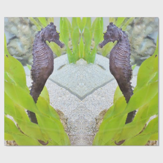 Seahorse-Geschenkpackung Geschenkpapier (Flach)