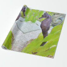 Seahorse-Geschenkpackung