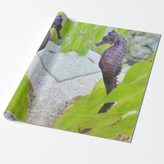 Seahorse-Geschenkpackung Geschenkpapier (Ungerollt)