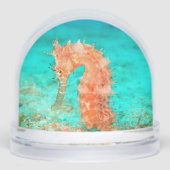 Seahorse tropical carribean turquoise orange schneekugeln (Vorderseite)