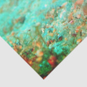 Seahorse tropical carribean turquoise orange seidenpapier (Detail)