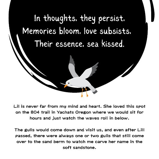 SEAKISSED CHOW Chow Ozeanplaner Planer