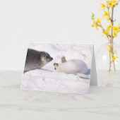 seal buddies karte (Gelbe Blume)