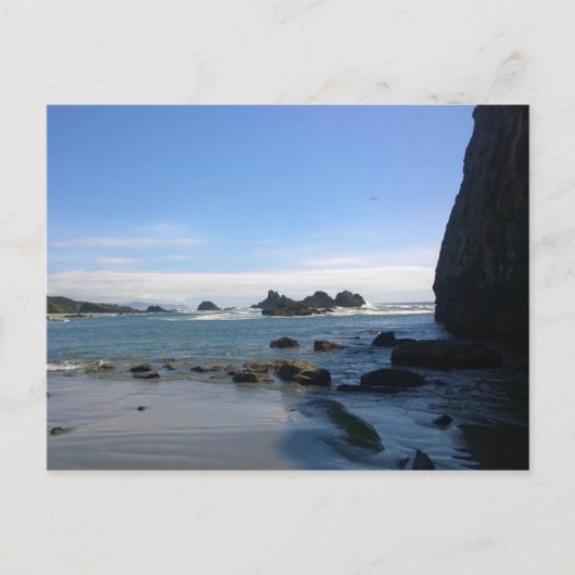 Seal Rock State Park Postkarte (Vorderseite)