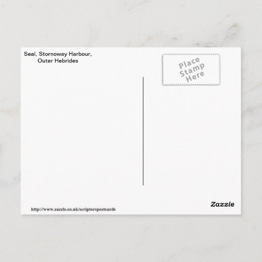 Seal, Stornoway Harbour, Outer Hebrides Postkarte (Rückseite)