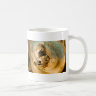 Sealion Kaffeetasse