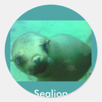 Sealion Runder Aufkleber