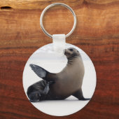 Sealion Schlüsselanhänger (Vorderseite)