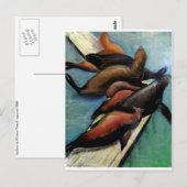 Sealions Postkarte (Vorne/Hinten)