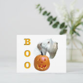 Sealyham Terrier Boo Postkarte (Stehend Vorderseite)