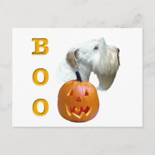 Sealyham Terrier Boo Postkarte