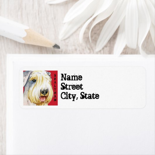 Sealyham Terrier Color Block (Insitu)