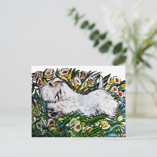 Sealyham Terrier Daffodils Postkarte (Stehend Vorderseite)