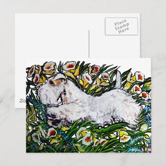 Sealyham Terrier Daffodils Postkarte (Vorne/Hinten)