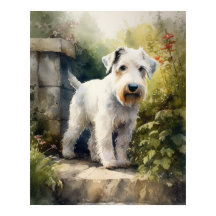 Sealyham Terrier Dog Art Print Poster