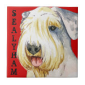 Sealyham Terrier Farbblock Fliese (Vorderseite)