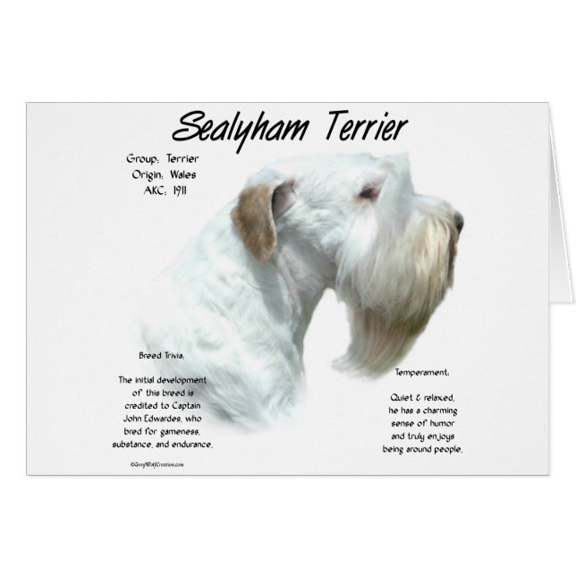Sealyham Terrier History (Vorderseite (Horizontal))