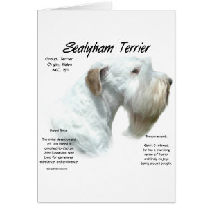 Sealyham Terrier History