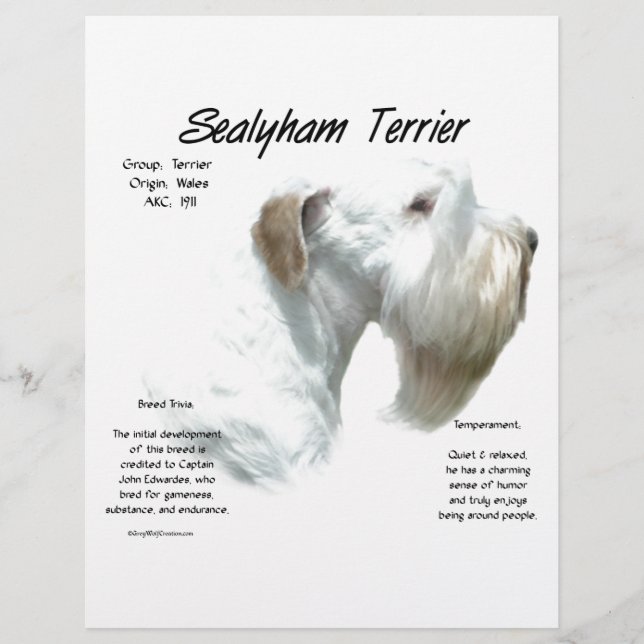 Sealyham Terrier History (Vorderseite)