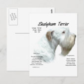 Sealyham Terrier History Design Postkarte (Vorne/Hinten)