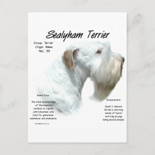 Sealyham Terrier History Design Postkarte