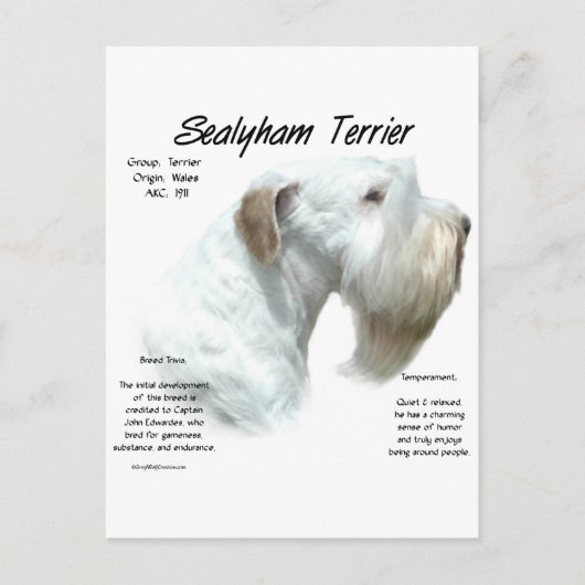 Sealyham Terrier History Design Postkarte (Vorderseite)