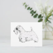 Sealyham Terrier Postkarte (Stehend Vorderseite)