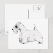 Sealyham Terrier Postkarte (Vorne/Hinten)
